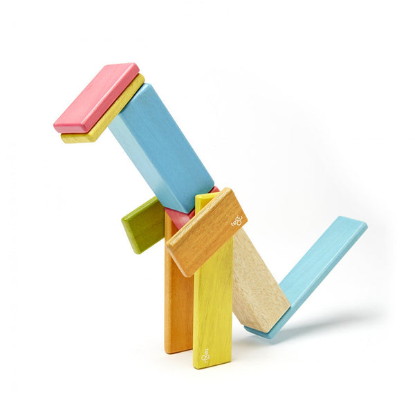 Tegu Magnetic Blocks